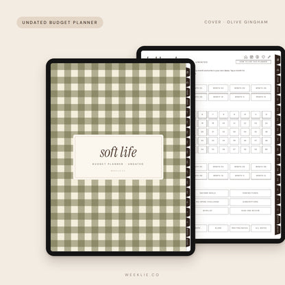 Soft Life Budget Planner with the Olive Gingham cover