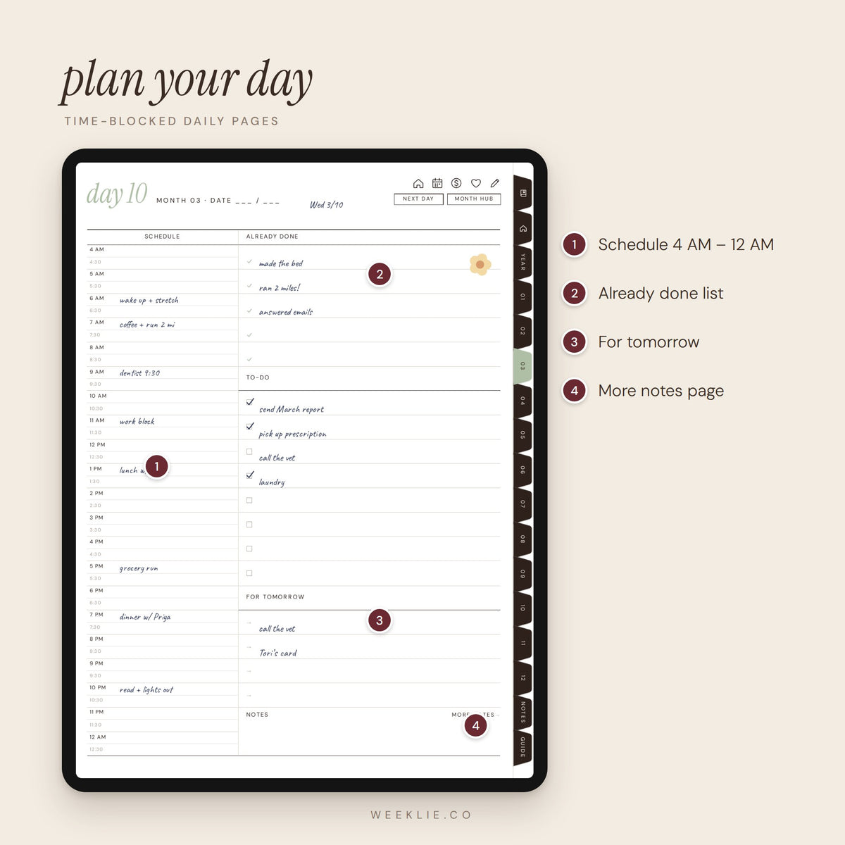 The Undated Weeklie Planner pages