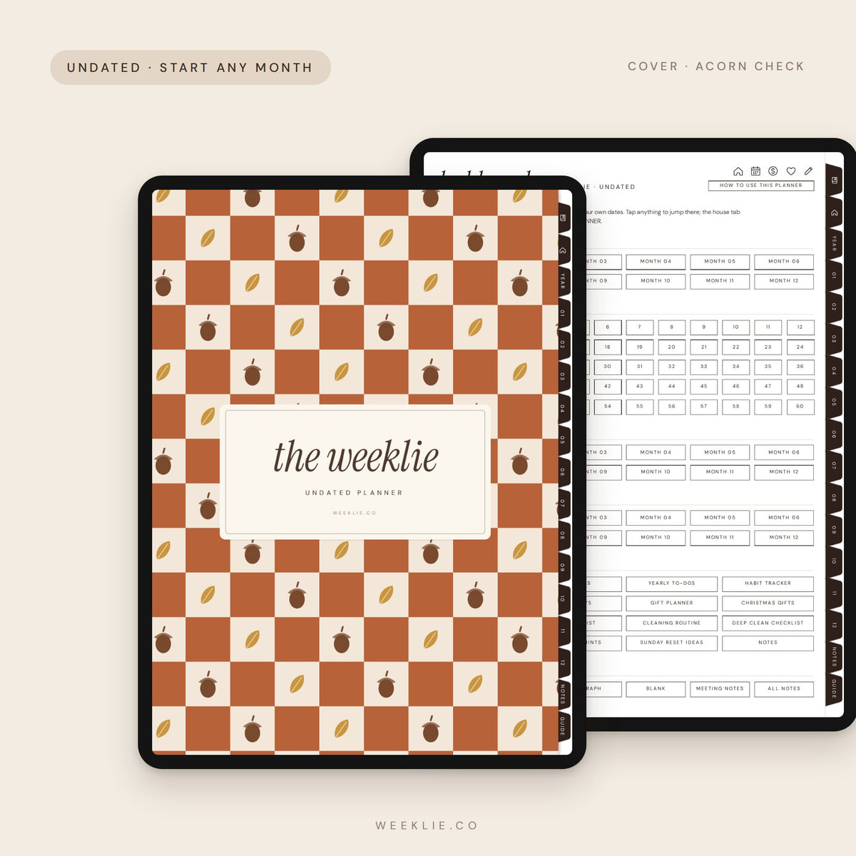 The Undated Weeklie Planner with the Acorn Check cover