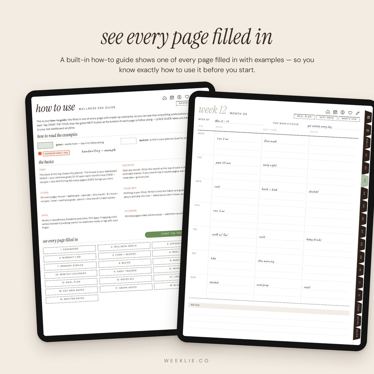 Wellness Era Planner built-in how-to guide