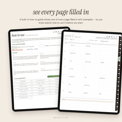 Wellness Era Planner built-in how-to guide
