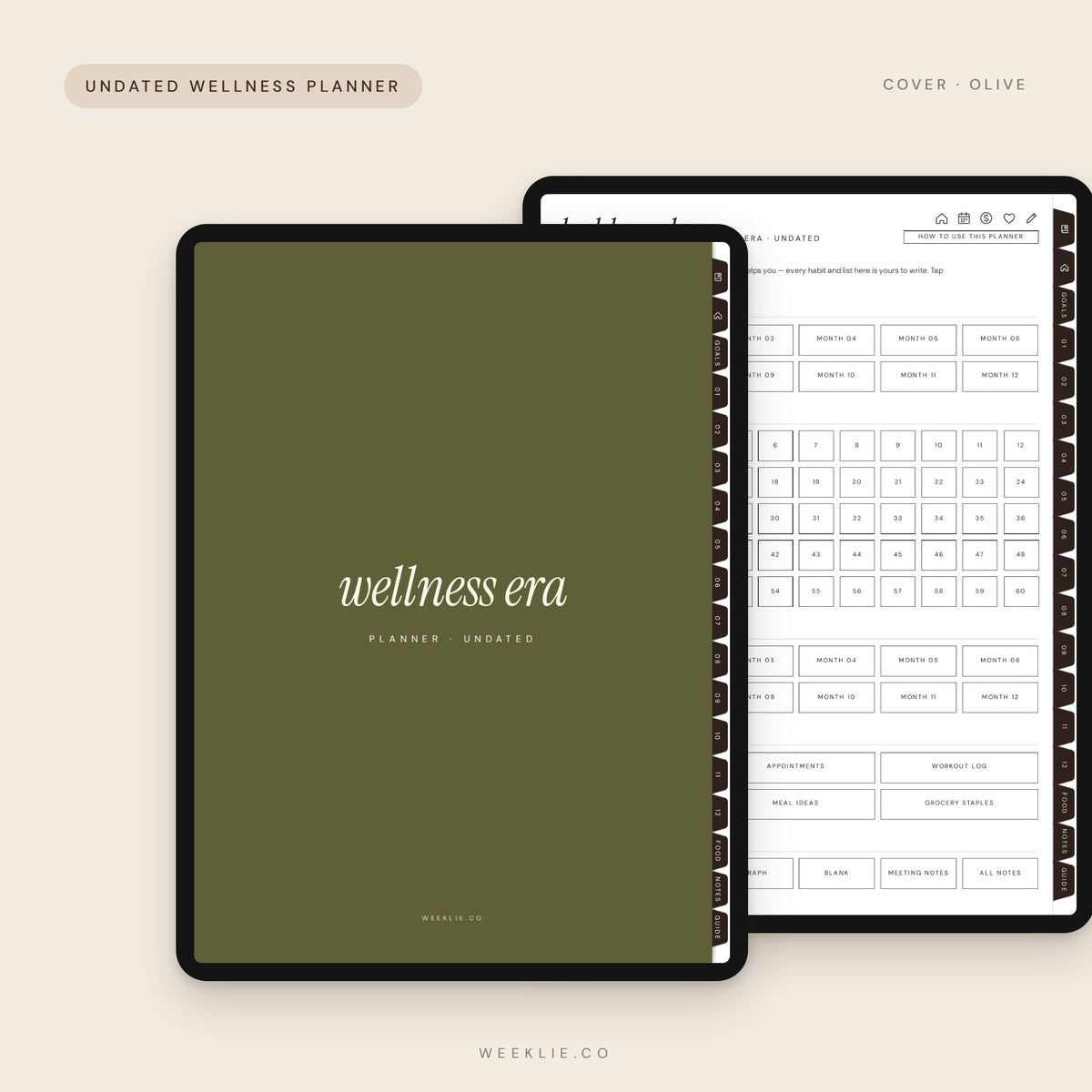 Wellness Era Planner with the Olive cover