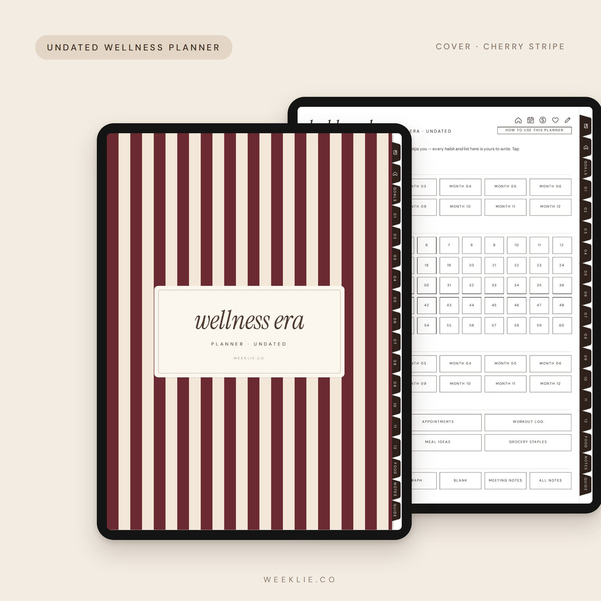 Wellness Era Planner with the Cherry Stripe cover