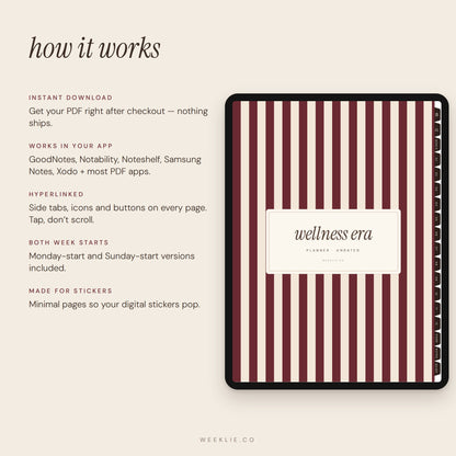 How Wellness Era Planner works in GoodNotes and other apps